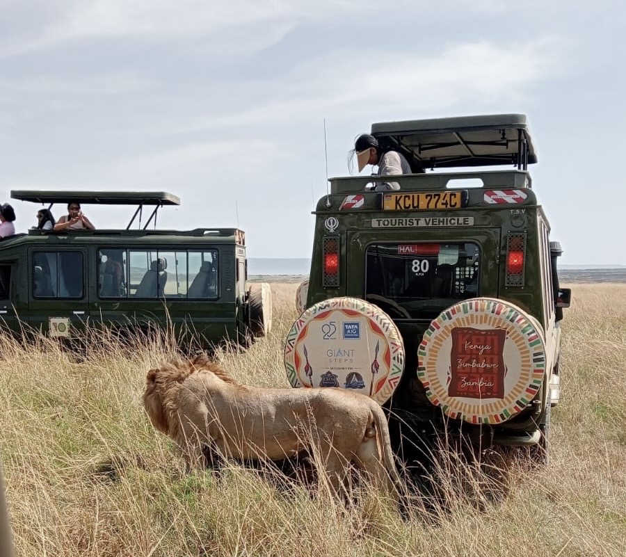 Safari Gallery Image